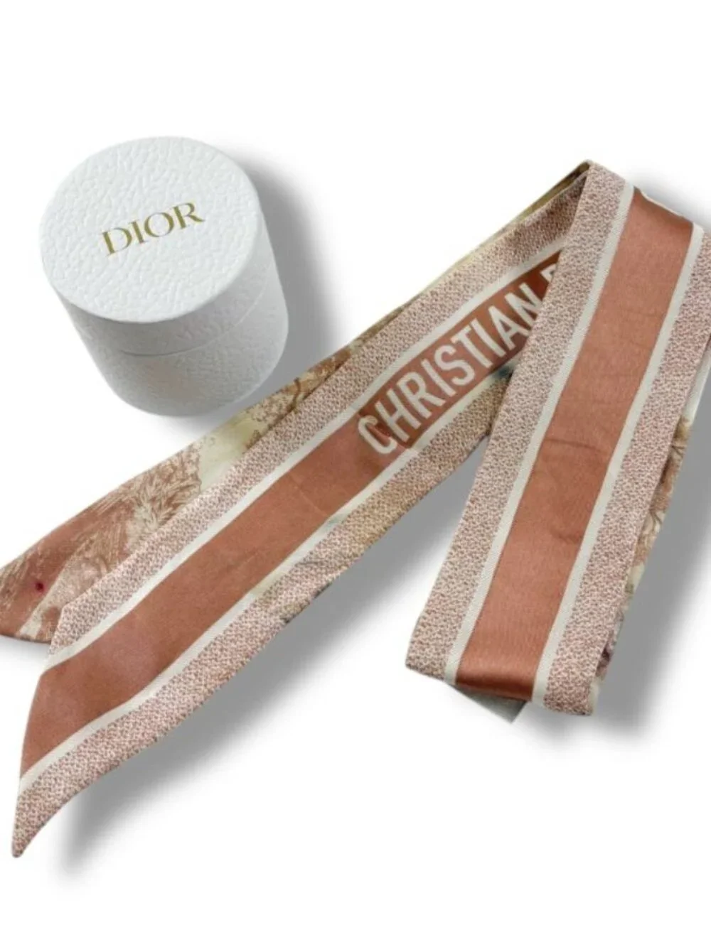 Dior Mizza Toile de Jouy Sauvage Scarf